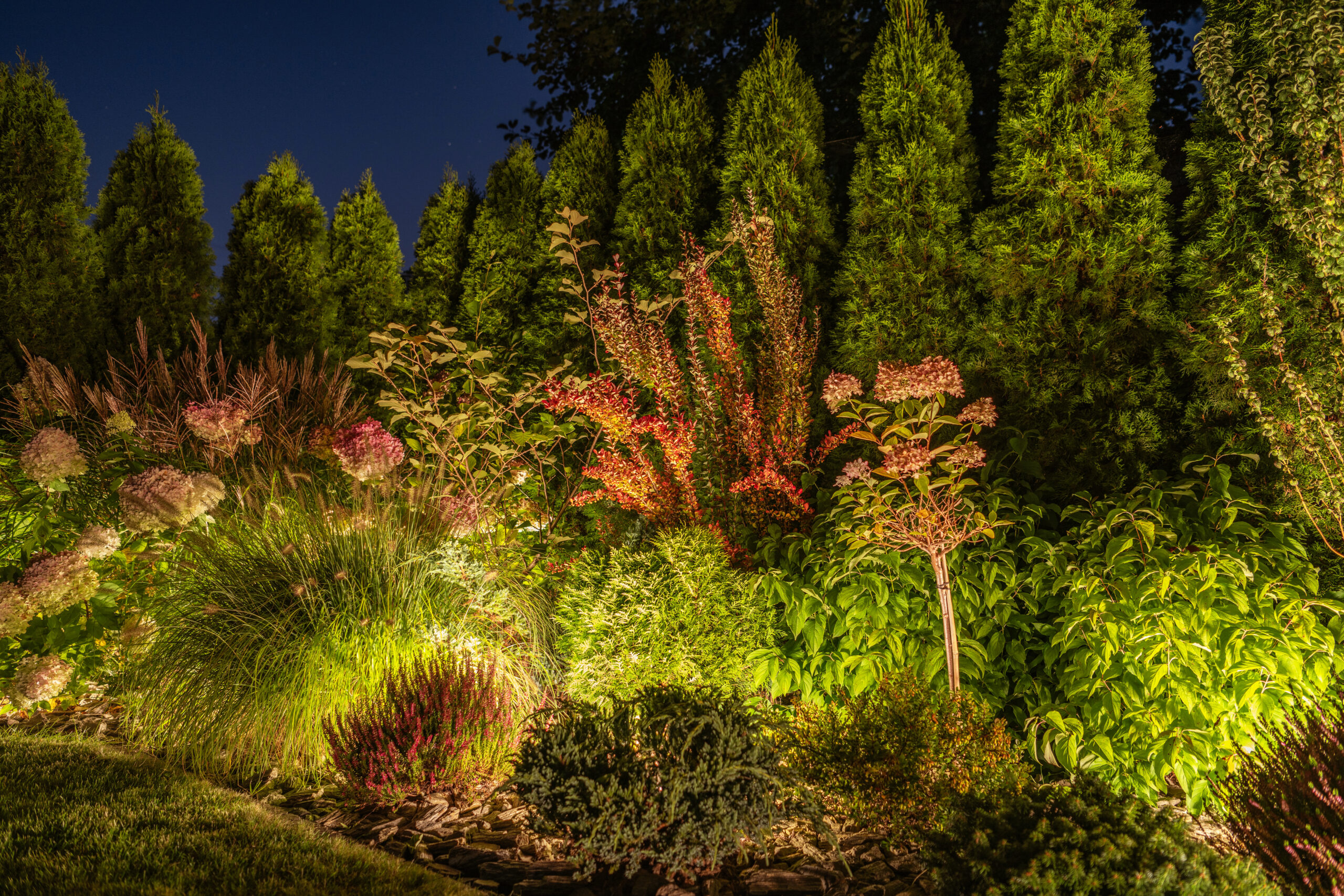 Back Yard Garden Illuminated by Modern LED Lighting System. Outdoor Lights.