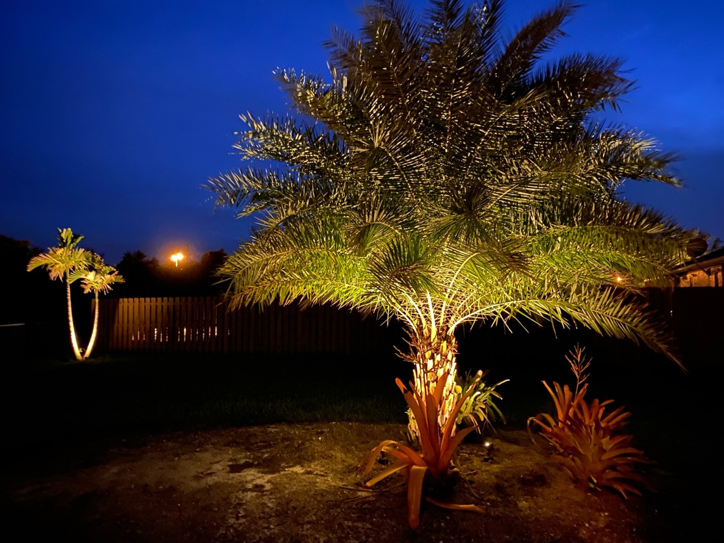 outdoor lighting tree in Florida by Prime Electric